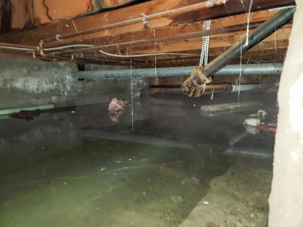 Water damage restoration insurance claims in Melville, NY
