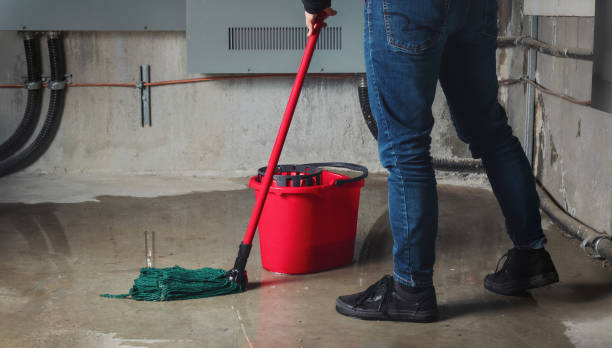 Best Water damage contractors near me  in Melville, NY