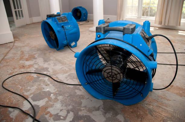 Best Basement water damage restoration  in Melville, NY