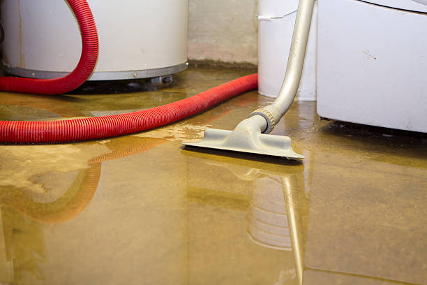 Best 24/7 water damage repair  in Melville, NY