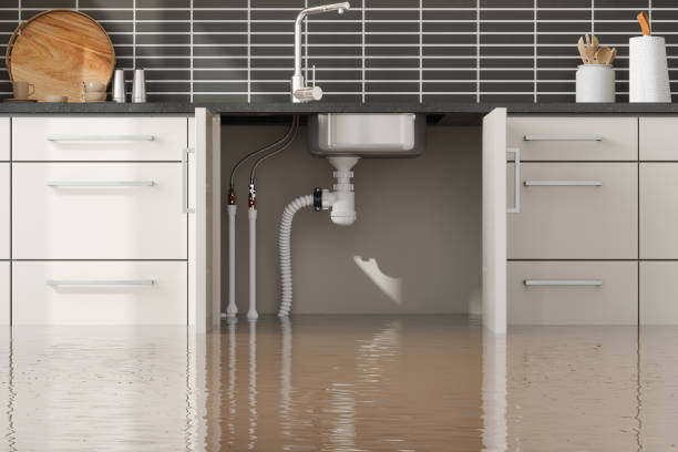 Best Water damage cleanup near me  in Melville, NY